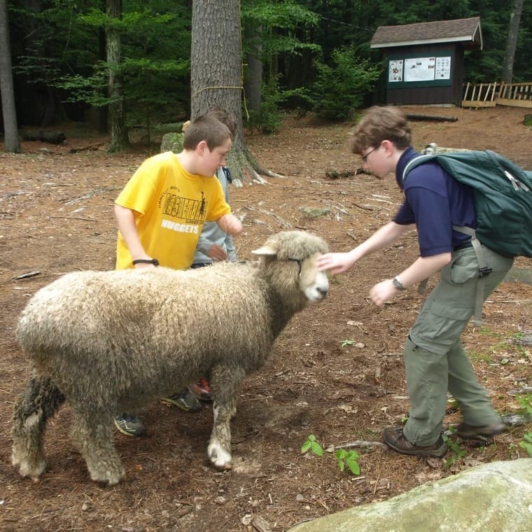 Nature and science program photo